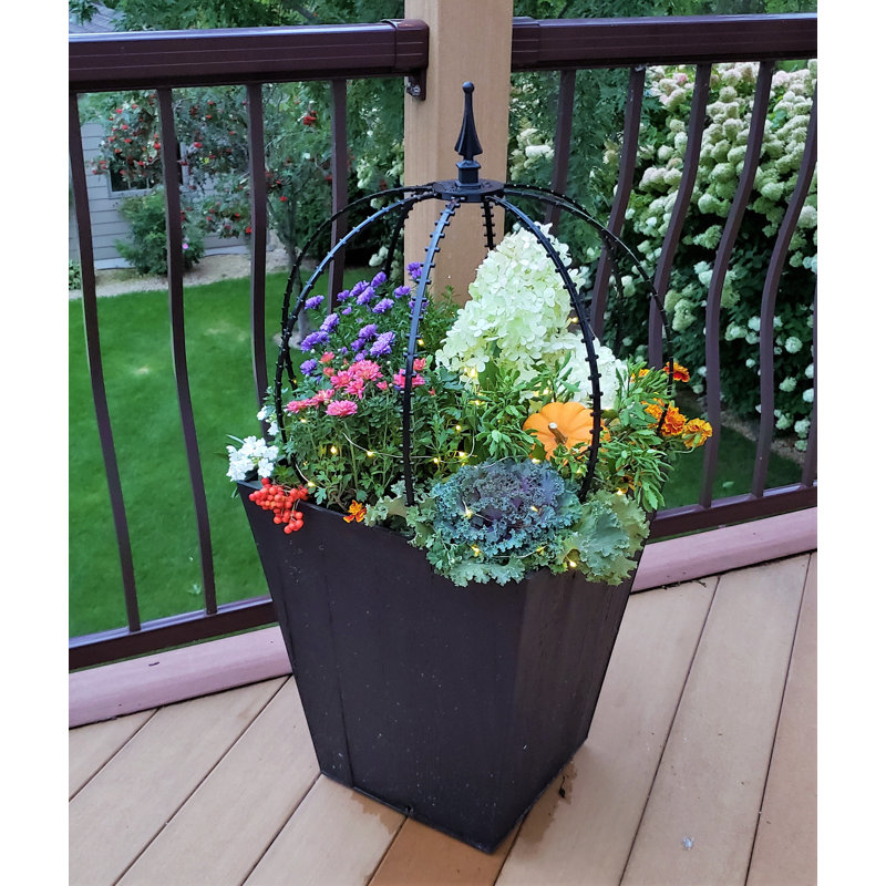 Scroll Trellis Decorative Plant Supports and Accessories includes Solar